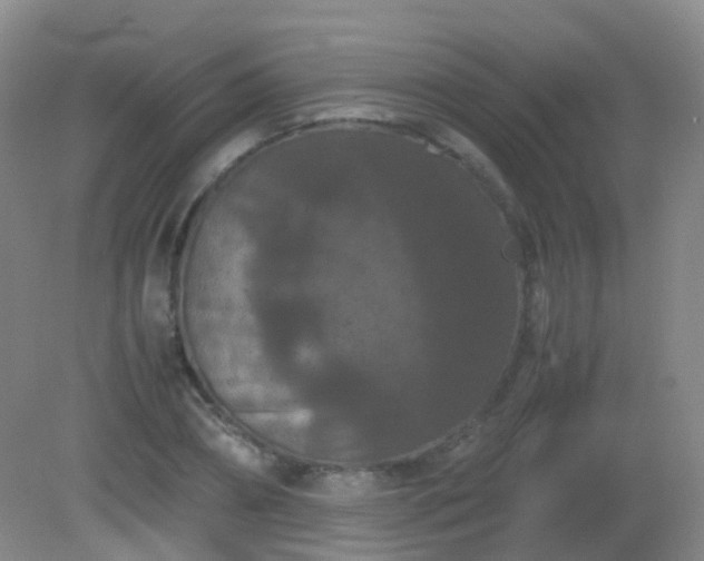 X0000081310882200701181859