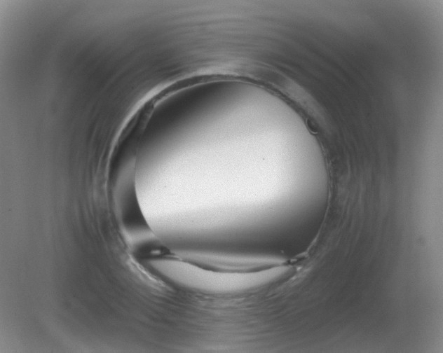 X0000081310884200701181859