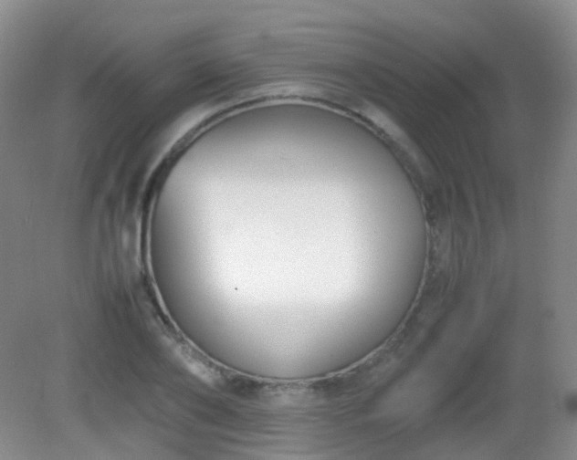X0000081310886200701181859