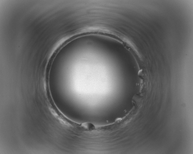 X0000081310888200701181859
