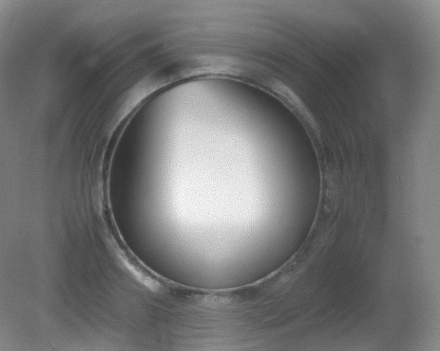 X0000081310890200701181859
