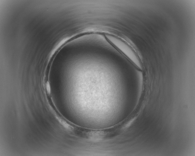 X0000081310893200701181859