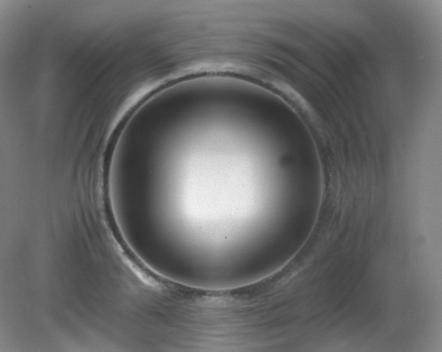 X0000081310894200701181859