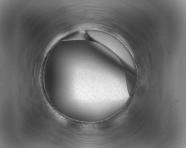 X0000081310901200701181859