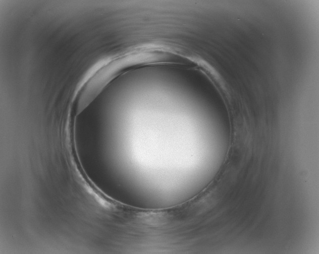 X0000081310902200701181859