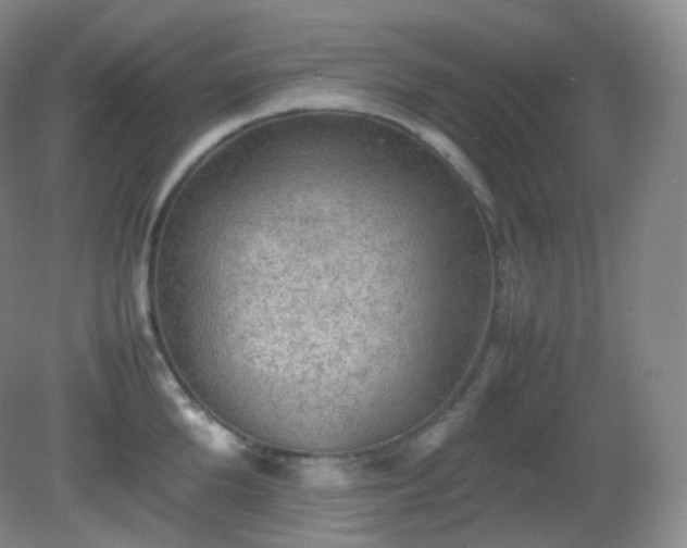 X0000081310904200701181859