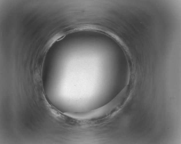X0000081310905200701181859