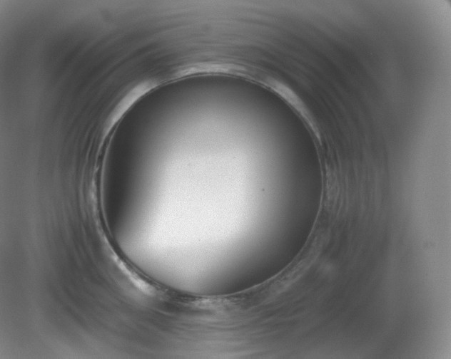 X0000081310906200701181859
