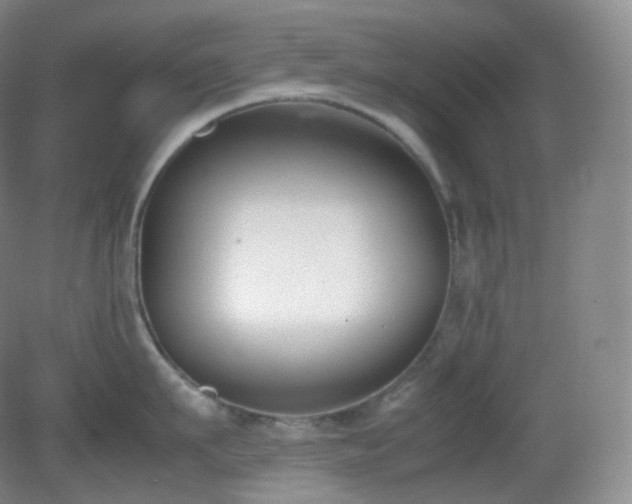 X0000081310911200701181859