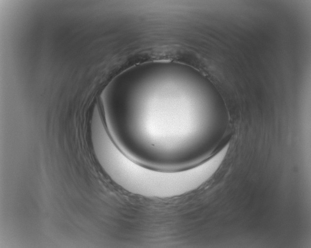 X0000081310913200701181858