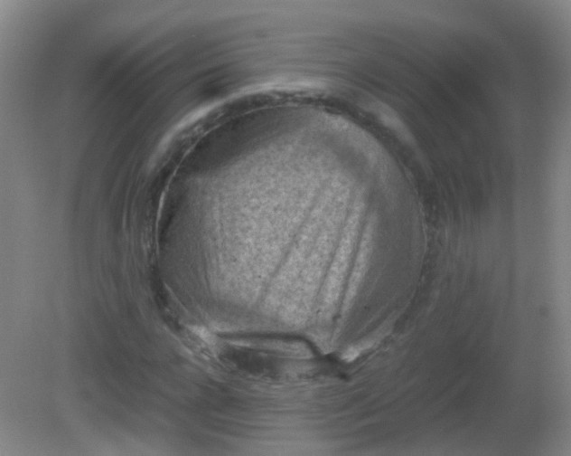 X0000081310920200701181858
