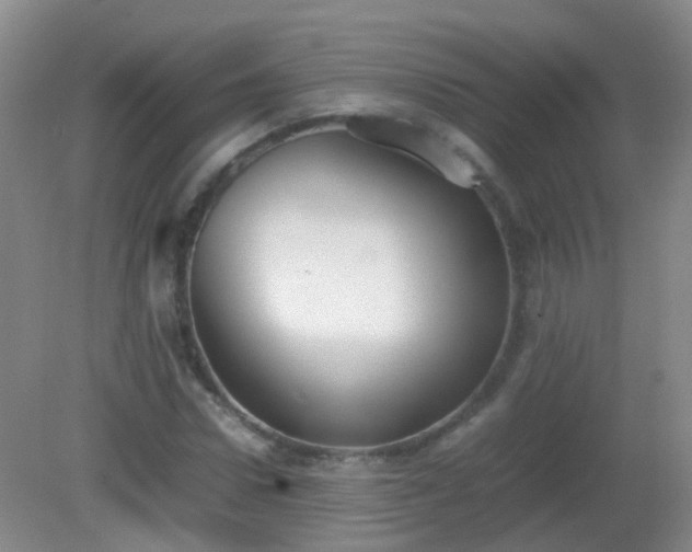 X0000081310922200701181858
