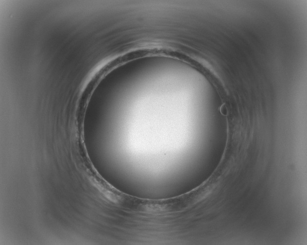 X0000081310927200701181858