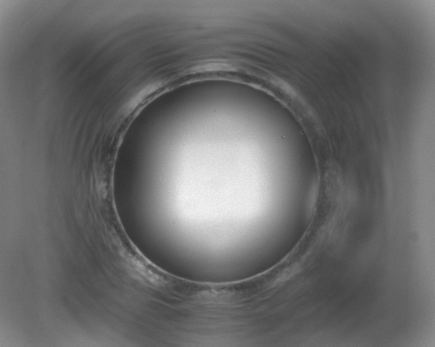 X0000081310929200701181858