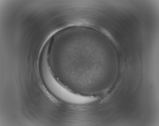 X0000081310932200701181858