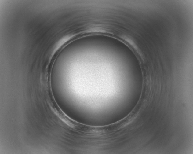 X0000081310933200701181858