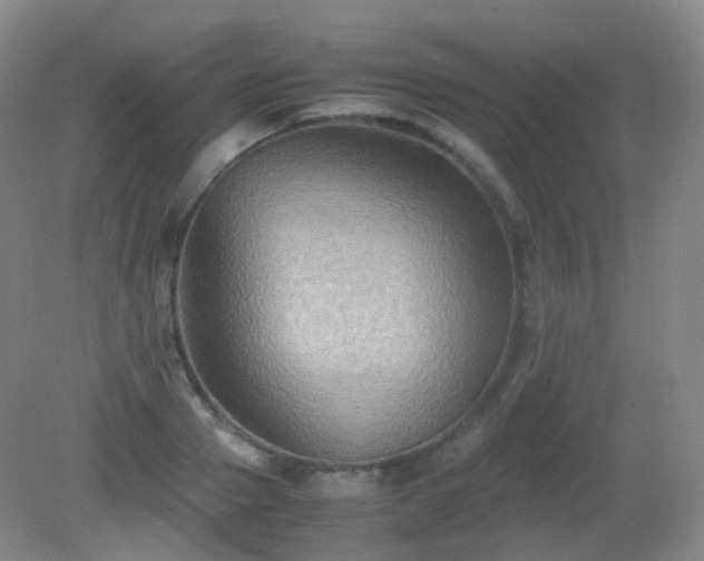 X0000081310937200701181858