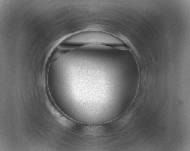 X0000081310939200701181858