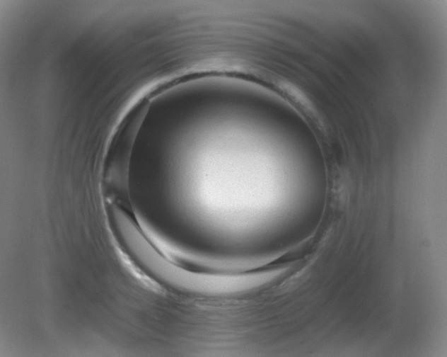 X0000081310942200701181858