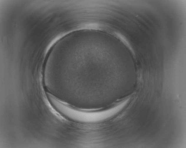 X0000081310944200701181858