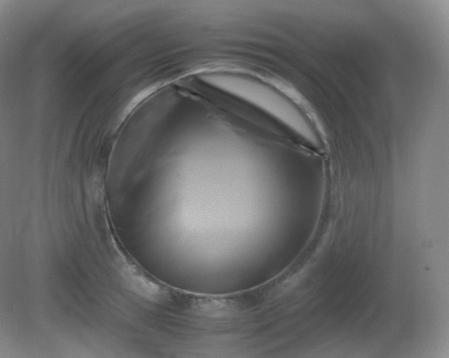 X0000081310945200701181858