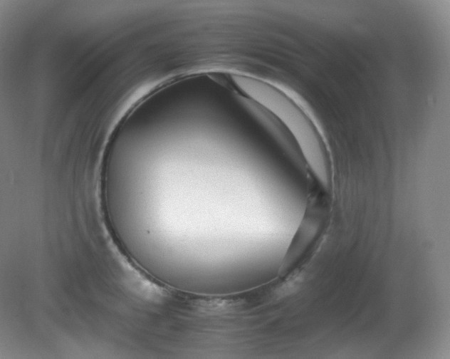 X0000081310949200701181858