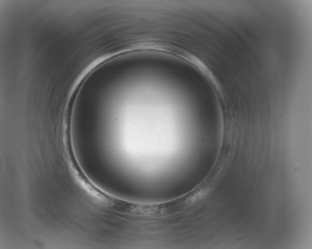 X0000081310955200701181858