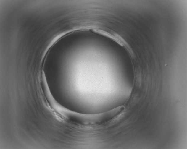 X0000081310956200701181859