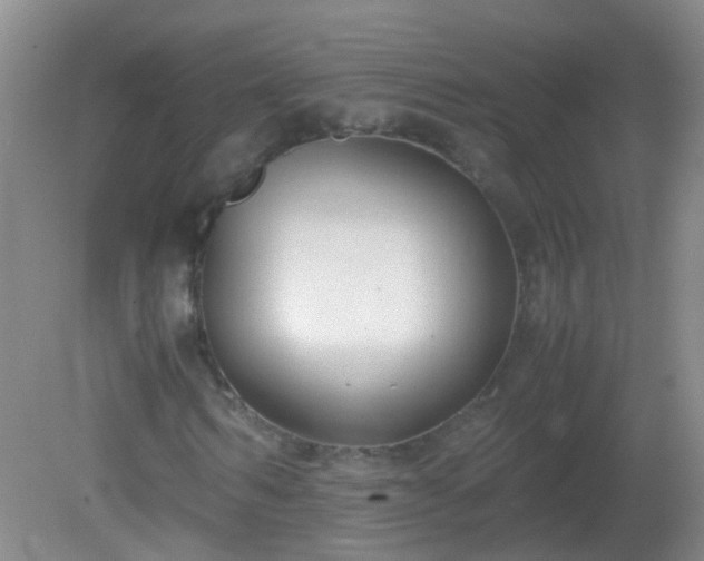 X0000081310962200701181858