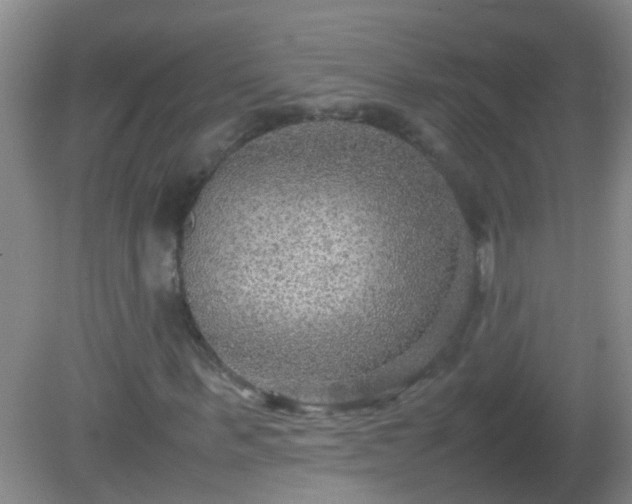 X0000081310963200701181858