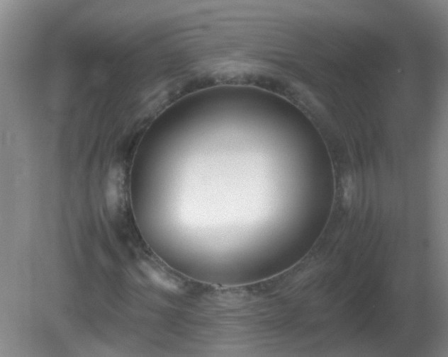 X0000081310964200701181858
