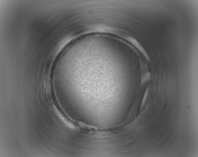 X0000081310972200701181858