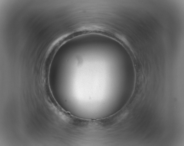 X0000081310979200701181857