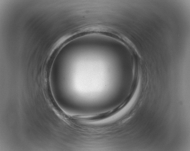 X0000081310981200701181857