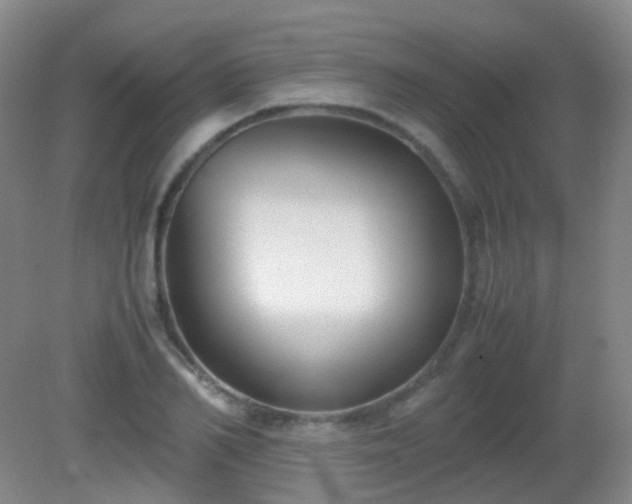 X0000081310982200701181857
