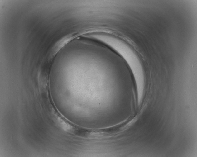 X0000081310985200701181857