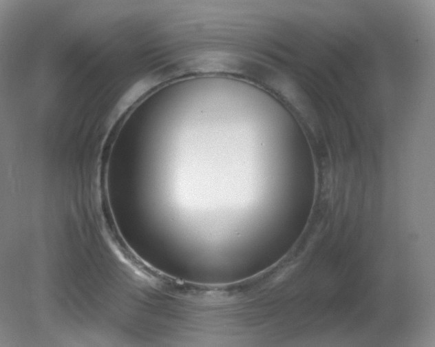 X0000081310986200701181857