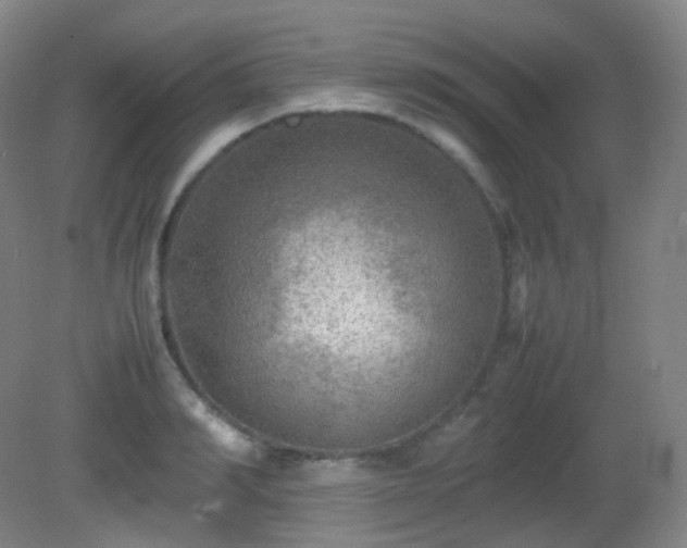 X0000081310990200701181857