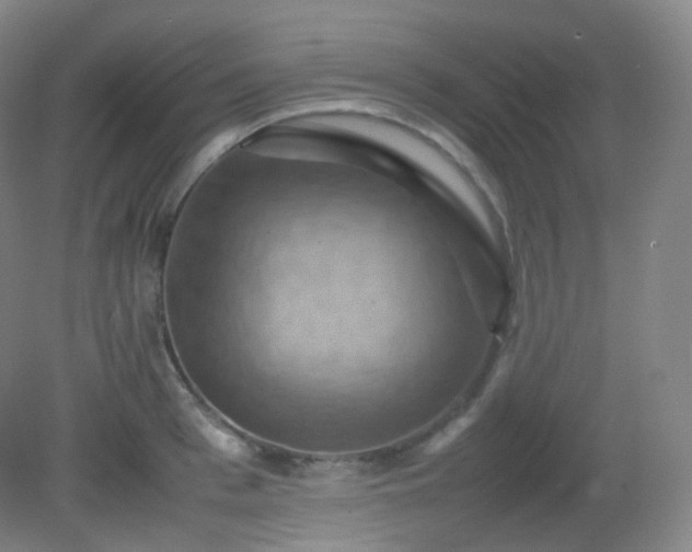 X0000081310993200701181857