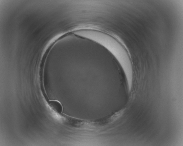 X0000081310995200701181857