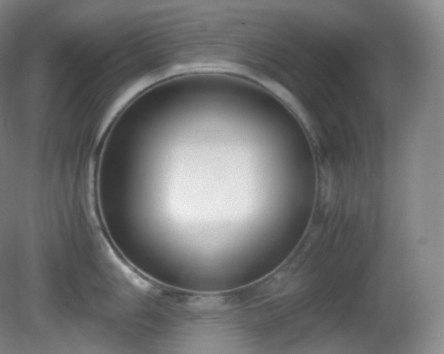 X0000081311006200701181857