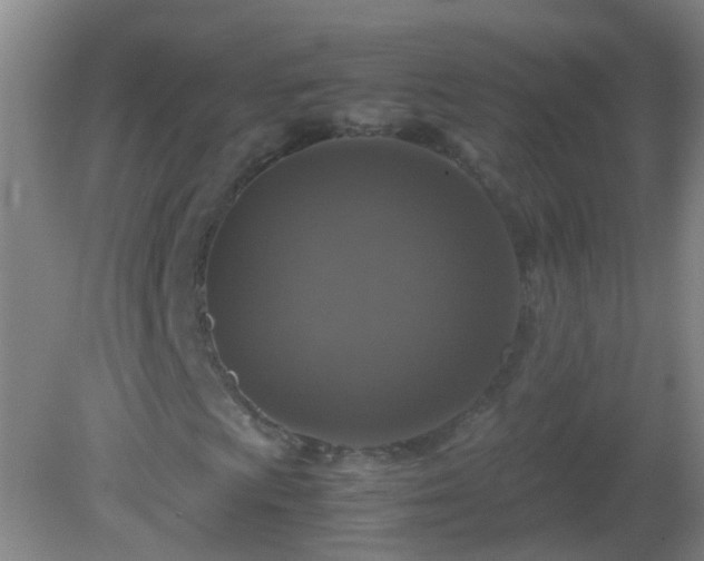 X0000081311009200701181856