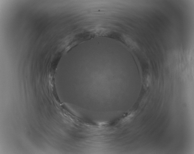 X0000081311010200701181856