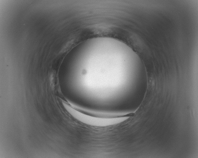 X0000081311012200701181856