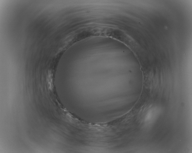 X0000081311013200701181856