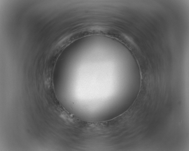 X0000081311015200701181856