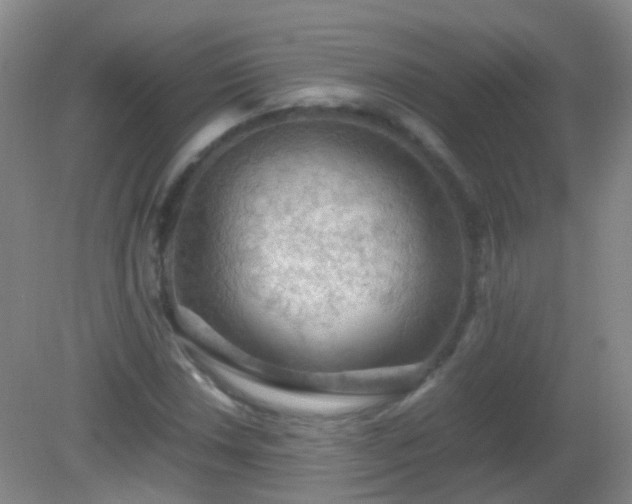X0000081311018200701181856