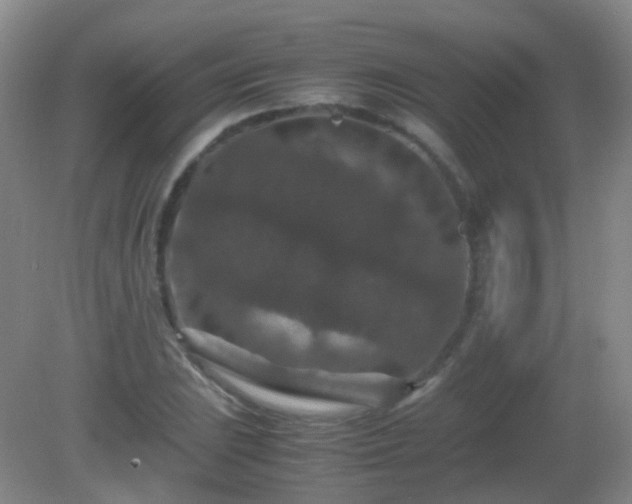 X0000081311023200701181856