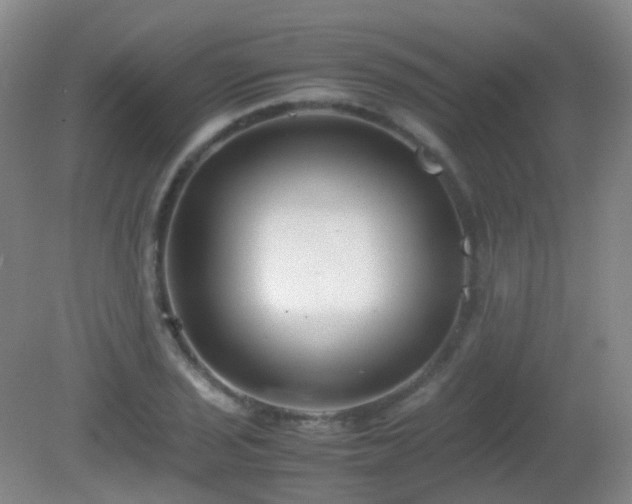 X0000081311029200701181856