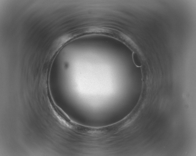 X0000081311033200701181857